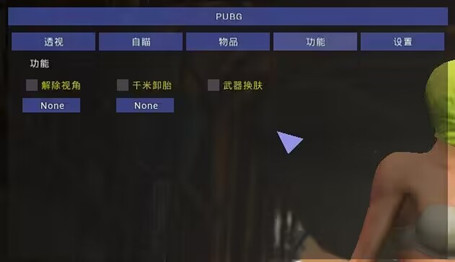 绝地求生芬达端游自瞄穿墙辅助器下载